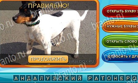 Собаки и кошки игра в одноклассниках помощь Уровень 166