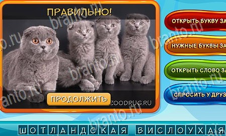 игра Собаки и кошки помощь одноклассники Уровень 170
