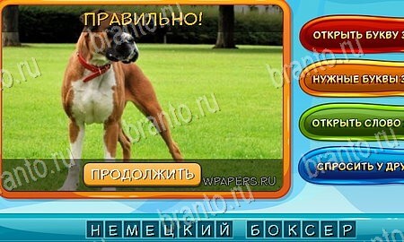 решебник на игру Собаки и кошки Уровень 172