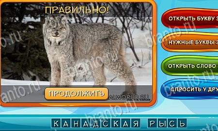 Собаки и кошки игра из одноклассников решения Уровень 173