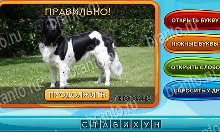 Собаки и кошки игра подсказки Уровень 175