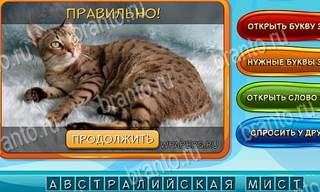 Подсказки на игру Собаки и кошки Эпизод 8 Уровень 178