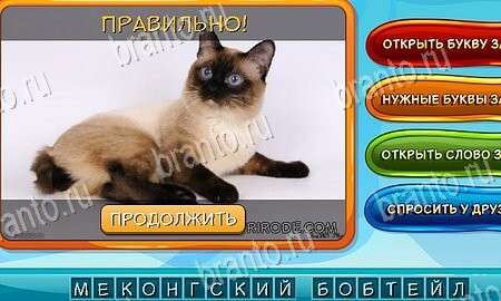 Решения на игру Собаки и кошки Эпизод 8 Уровень 179