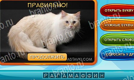 Помощь на игру ВК Собаки и кошки Уровень 180