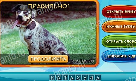 ответы к игре Собаки и кошки в контакте Уровень 181