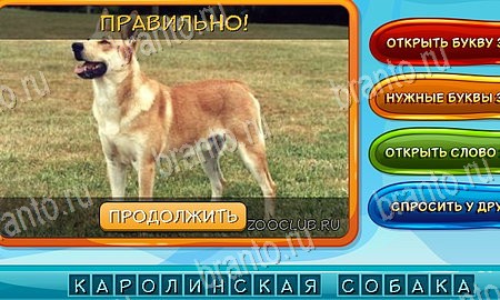 Собаки и кошки игра ответы в одноклассниках Уровень 183