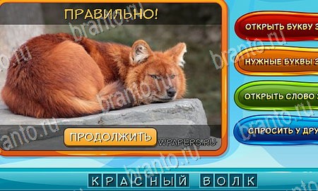 Одноклассники Собаки и кошки ответы Уровень 184