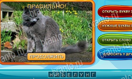 Собаки и кошки подсказки в контакте Уровень 185