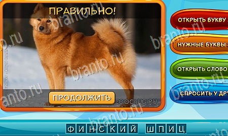 игра Собаки и кошки разгадки, ответ на Уровень 186