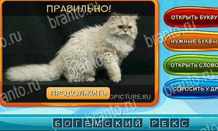 решебник на игру Собаки и кошки Уровень 187