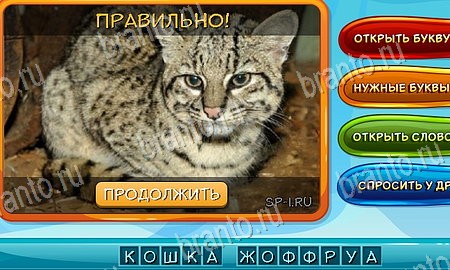 Собаки и кошки игра ответы на все задания Уровень 189