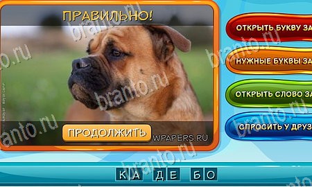 Собаки и кошки игра в контакте подсказки Уровень 190