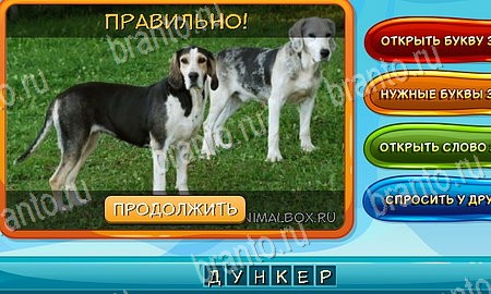 Собаки и кошки ответы в картинках в контакте Уровень 192