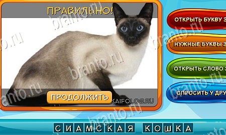 Игра Собаки и кошки ответы одноклассники, вк Уровень 193