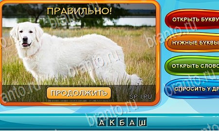 Игра Собаки и кошки подсказки вк Уровень 194