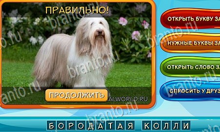 игра Собаки и кошки ответы в одноклассниках на Уровень 196