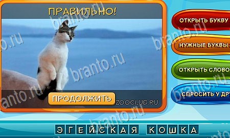 решебник на игру Собаки и кошки Уровень 197