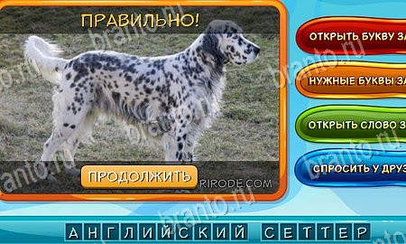 Собаки и кошки игра из одноклассников решения Уровень 198