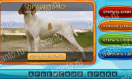 Собаки и кошки игра ответы ВК Уровень 199