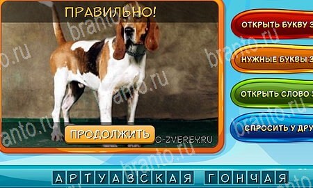 ответы на игру Собаки и кошки в одноклассниках Уровень 27