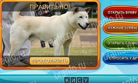 Подсказки на игру Собаки и кошки Эпизод 11 уровень 3
