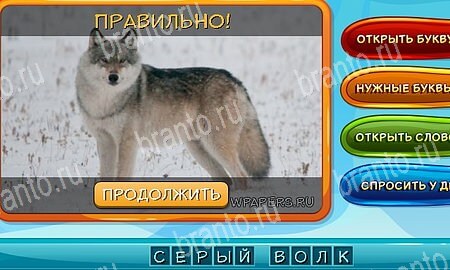 Решения на игру Собаки и кошки Эпизод 11 уровень 4