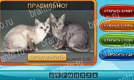 Помощь на игру ВК Собаки и кошки Уровень 25