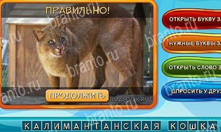 ответы к игре Собаки и кошки в контакте Уровень 26