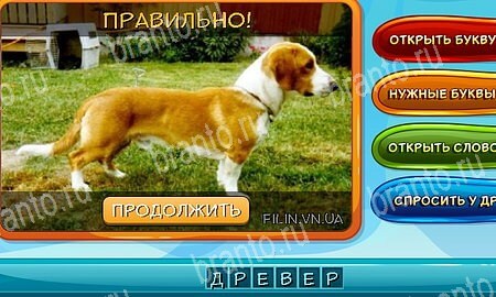 Собаки и кошки решения на игру из одноклассников Уровень 263