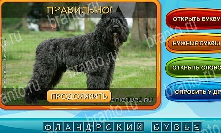 Собаки и кошки игра в одноклассниках помощь Уровень 266