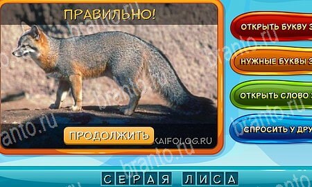 Игра Собаки и кошки ответы одноклассники, вк Уровень 268