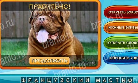 Игра Собаки и кошки подсказки вк Уровень 269