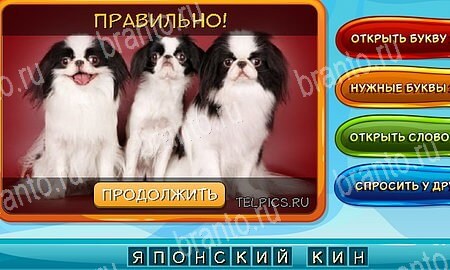 игра Собаки и кошки помощь одноклассники Уровень 270