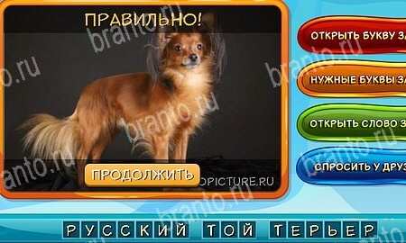 решебник на игру Собаки и кошки Уровень 272