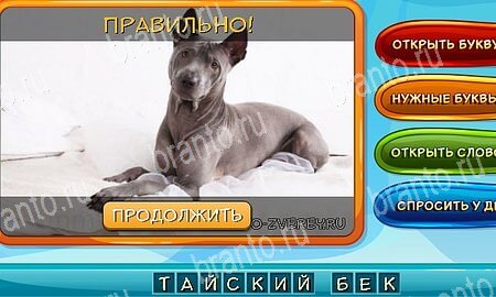 Собаки и кошки игра из одноклассников решения Уровень 273