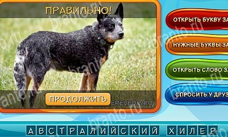 ответы на игру Собаки и кошки в одноклассниках Уровень 276