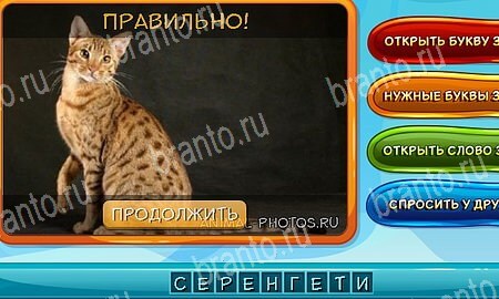 ответы на игру Собаки и кошки в одноклассниках Уровень 277