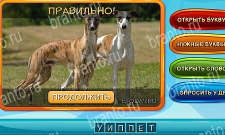 Подсказки на игру Собаки и кошки Эпизод 12 Уровень 278