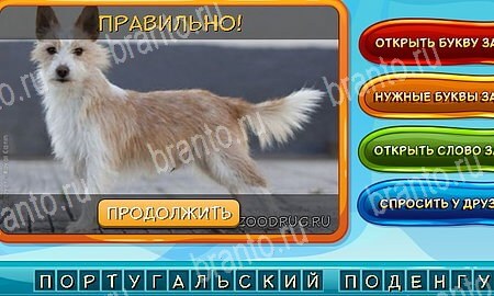 Решения на игру Собаки и кошки Эпизод 12 Уровень 279