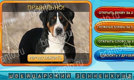 Помощь на игру ВК Собаки и кошки Уровень 280