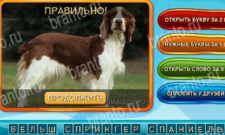 ответы к игре Собаки и кошки в контакте Уровень 281