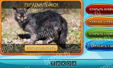 Собаки и кошки игра ответы в одноклассниках Уровень 283