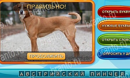 решебник на игру Собаки и кошки Уровень 287