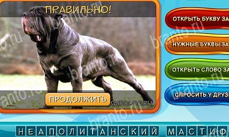 Собаки и кошки игра ответы на все задания Уровень 289