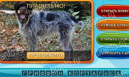 Собаки и кошки игра в контакте подсказки Уровень 290