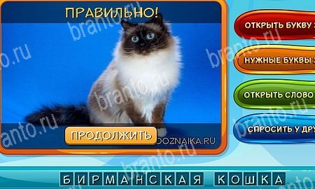 Собаки и кошки ответы в картинках в контакте Уровень 292