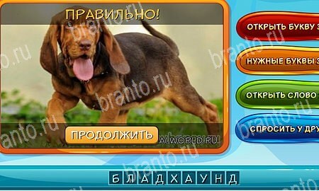 Игра Собаки и кошки ответы одноклассники, вк Уровень 293