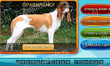 Игра Собаки и кошки подсказки вк Уровень 294