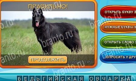 игра Собаки и кошки помощь одноклассники Уровень 295