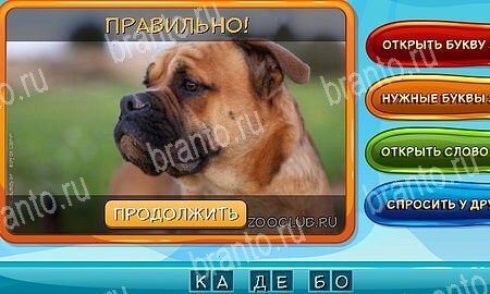 игра Собаки и кошки ответы в одноклассниках на Уровень 296